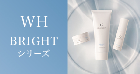 cellphycs77 – 株式会社ブルーム・クラシック