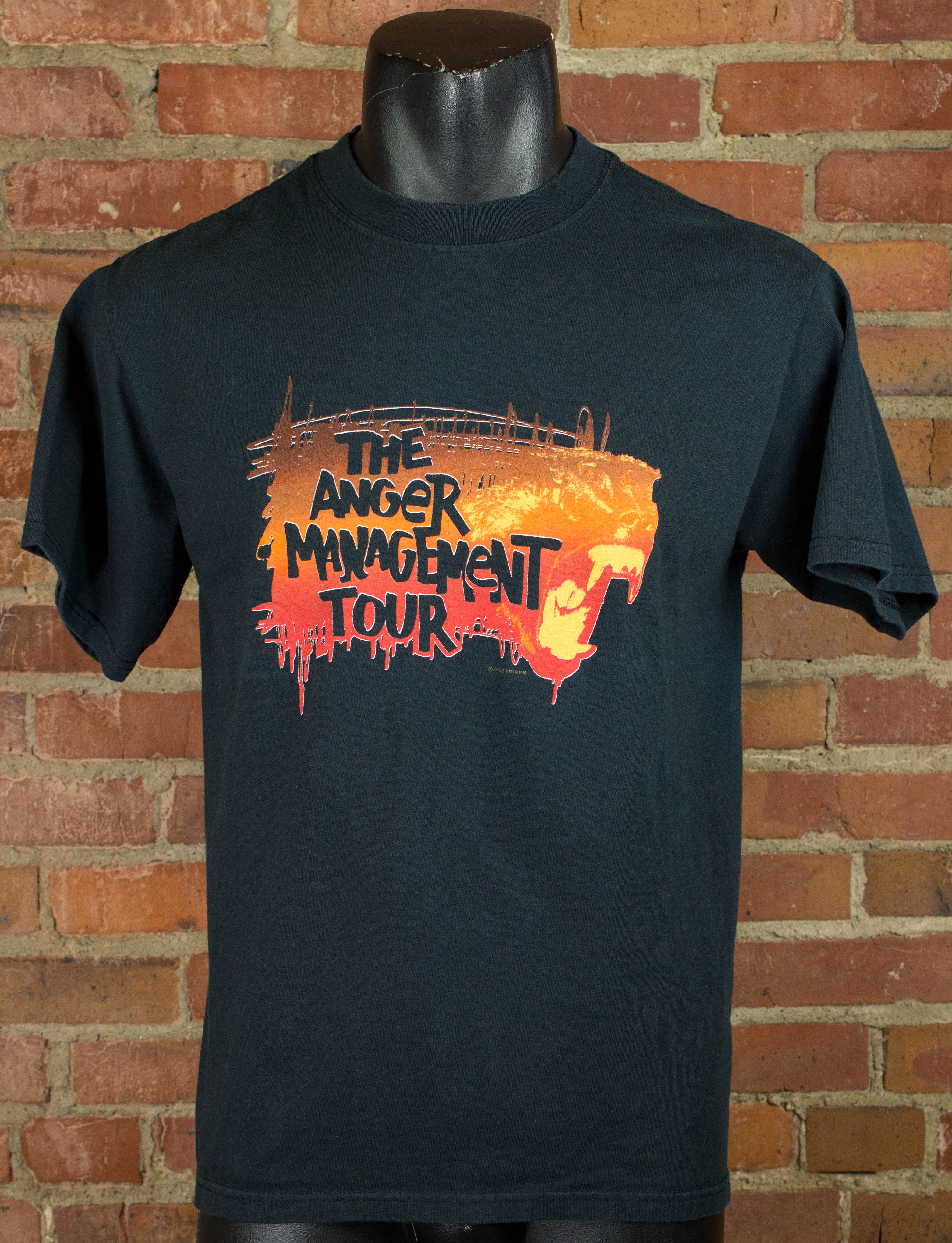 Vintage Eminem 2002 The Anger Management Tour Rap Tee Concert T