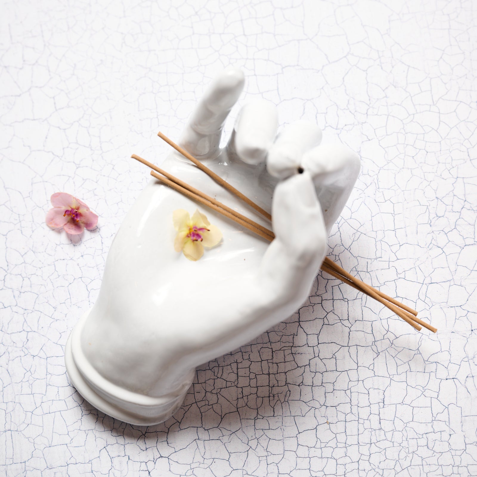 BlancheMimiShop062345269_fde87