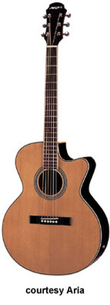 ARIA/ARIA PRO II SANDPIPER ASP-100 CE for sale - Price and Used Value