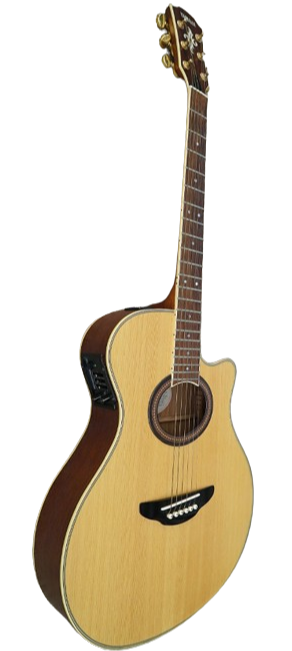 YAMAHA APX 6C for sale - Price and Used Value