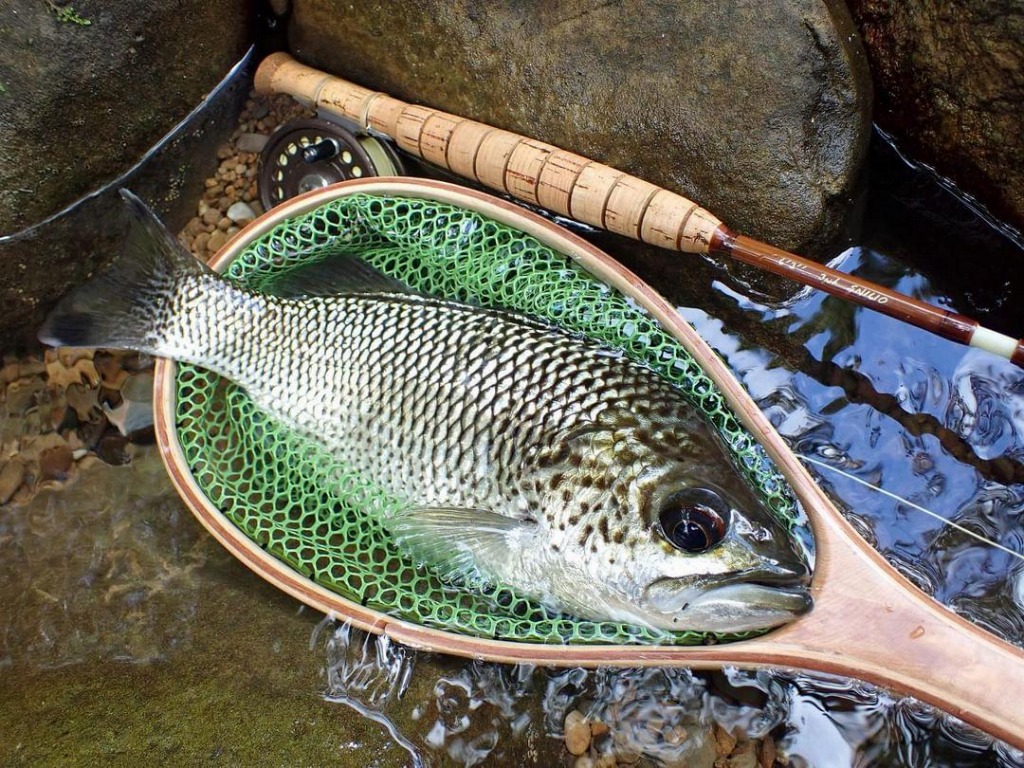 GlassPack756-5 | BlueHeronRods