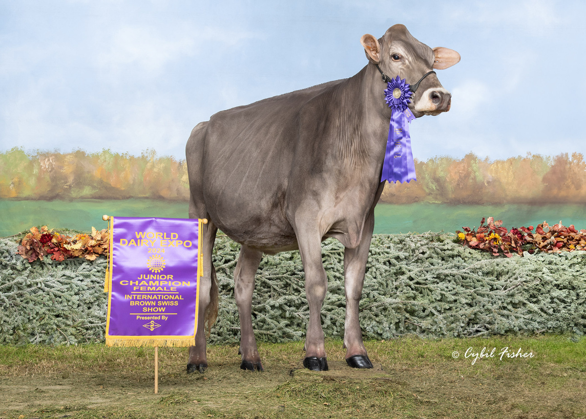 54BS581 RASTA | New Generation Genetics