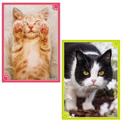 ブロッコリートレカアイテムくじEX「猫これくしょん」 1ユニット（86本