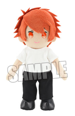 ぬいスターコスチューム(shining heroes)＆ぬいスター本体: ：【公式