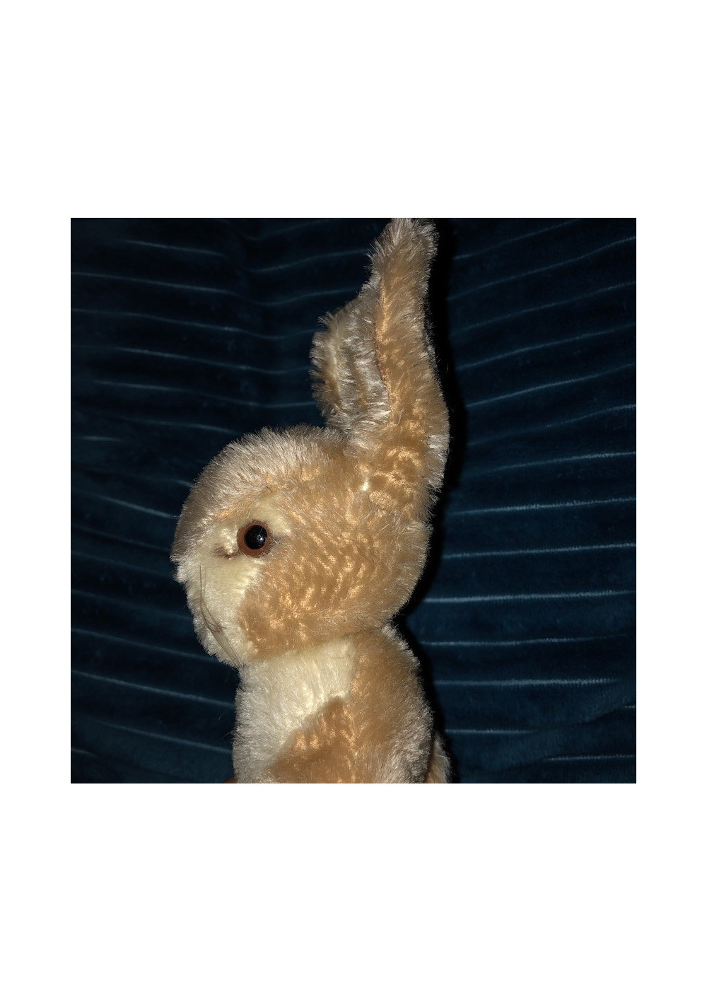 Rabbit Steiff 50s/60s |Baby Rabbit Sassy | Steiff