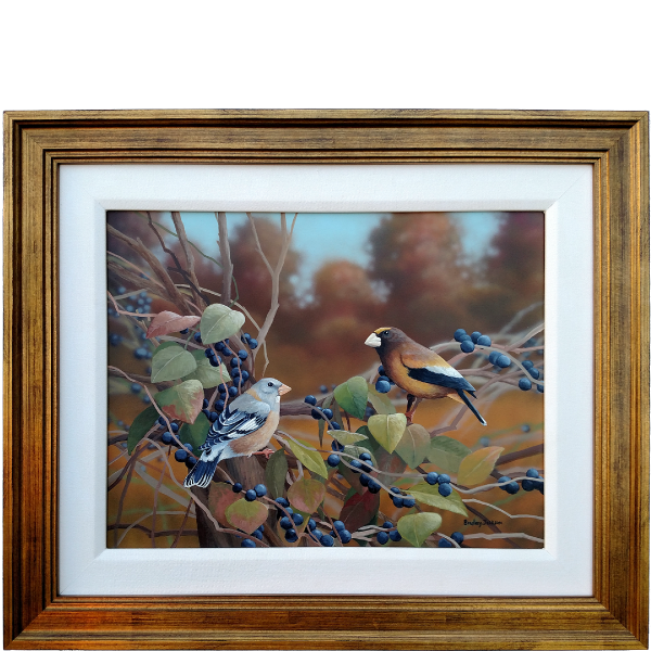 Bradley Jackson | Wildlife Artist