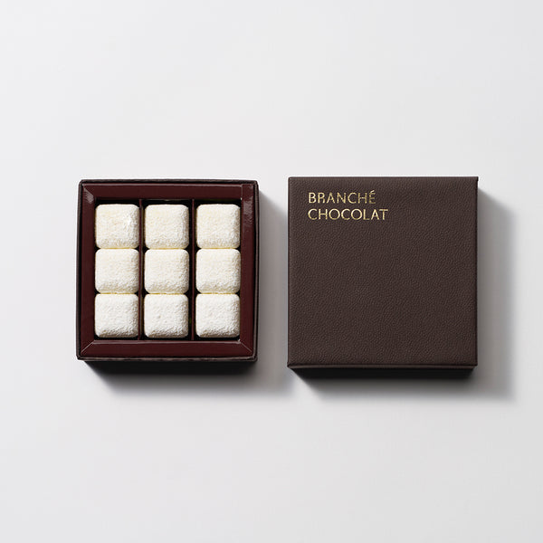 01_grande.jpg?v=1708061055