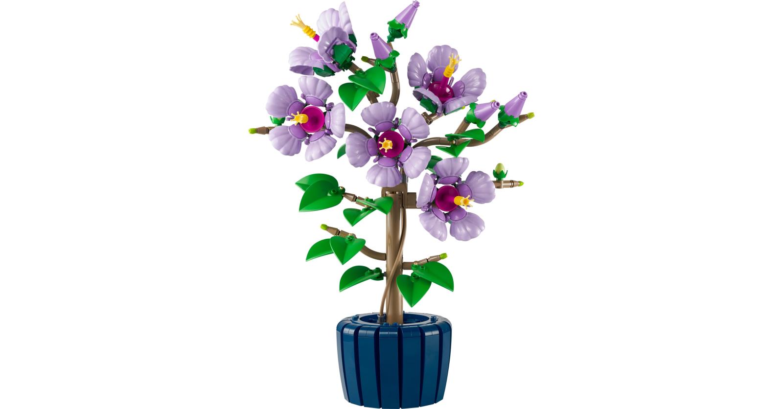 LEGO Botanicals Hibiscus and Mini Bonsai Trees unveiled! | Brickset