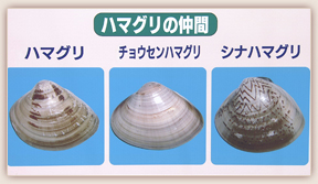 榊原英資の食卓の向こうに