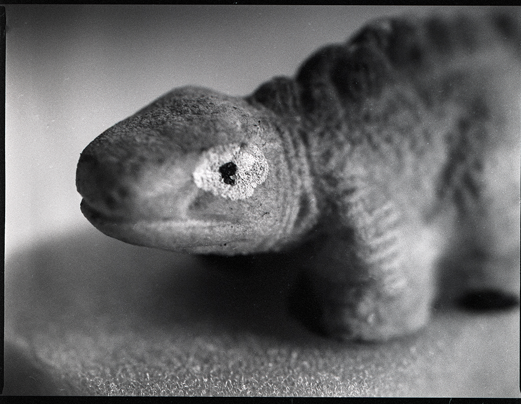 Zenzanon 105mm f4,5 macro PE – A Fortunate Traveler