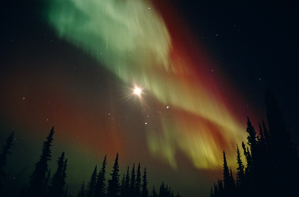 没後20年 特別展 星野道夫の旅（IZU PHOTO MUSEUM）｜美術手帖