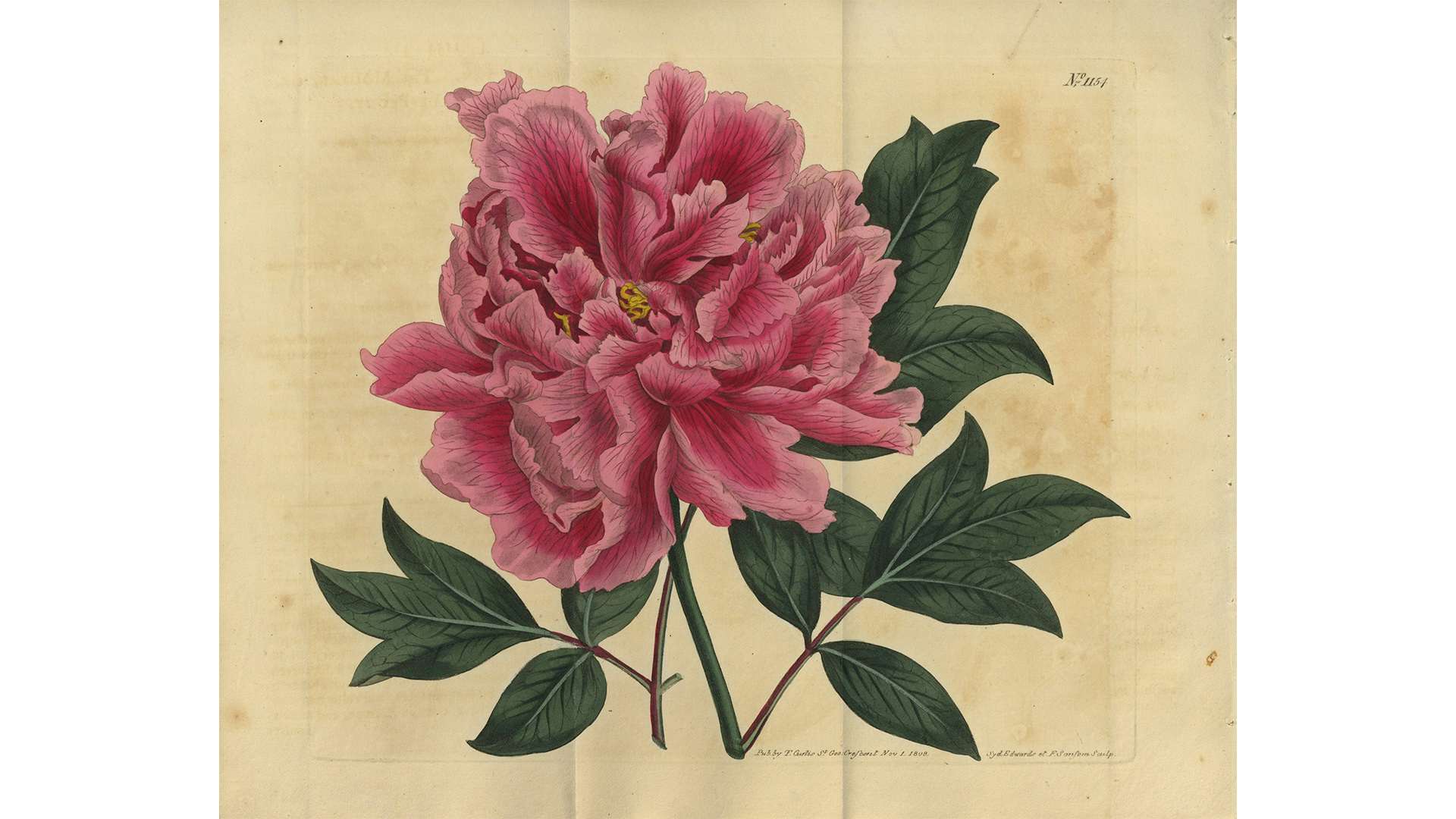 1628692422201_21bb6a738b4d226e