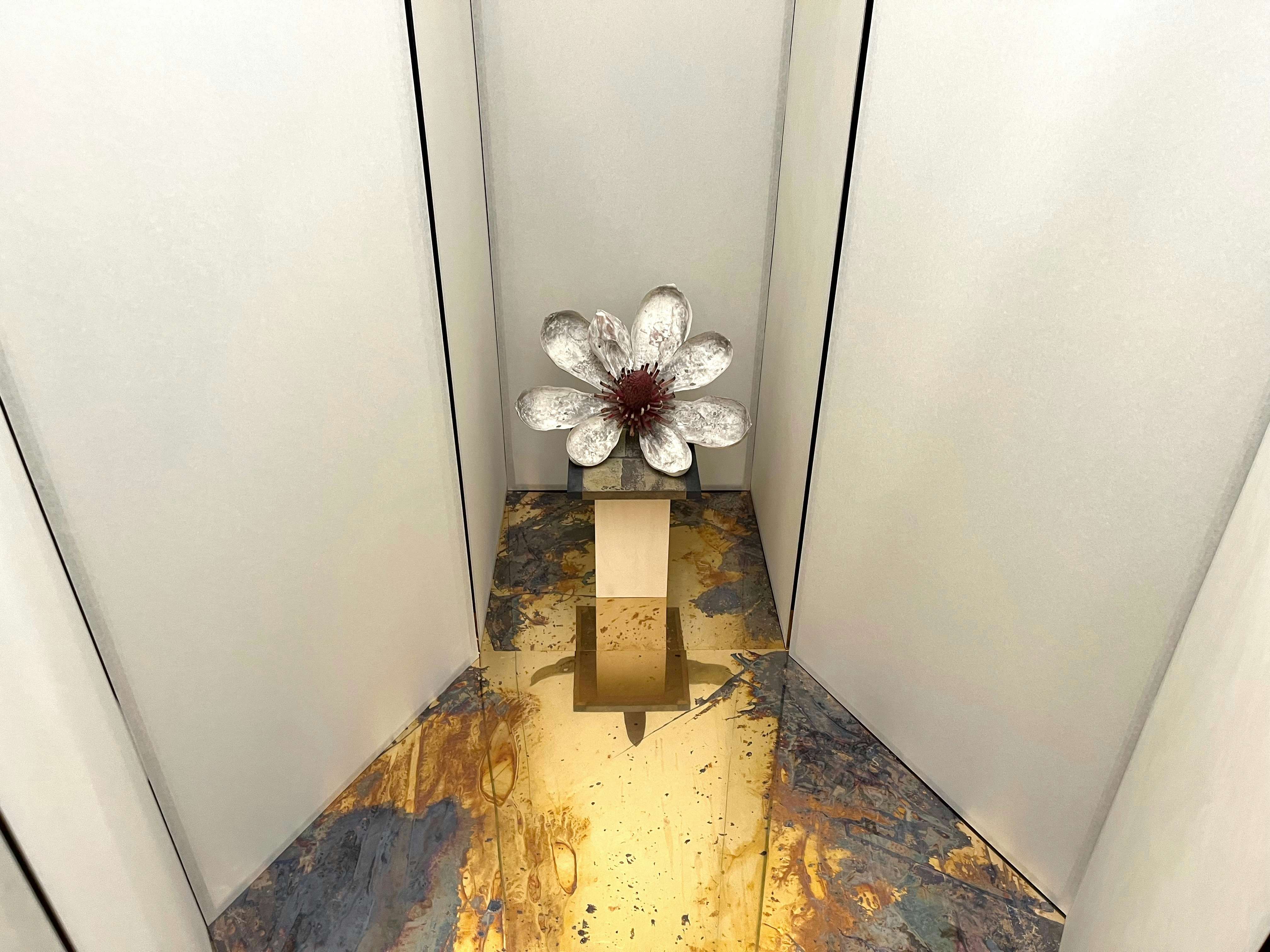 須田悦弘展」（渋谷区立松濤美術館）開幕レポート。植物彫刻を探しつつ