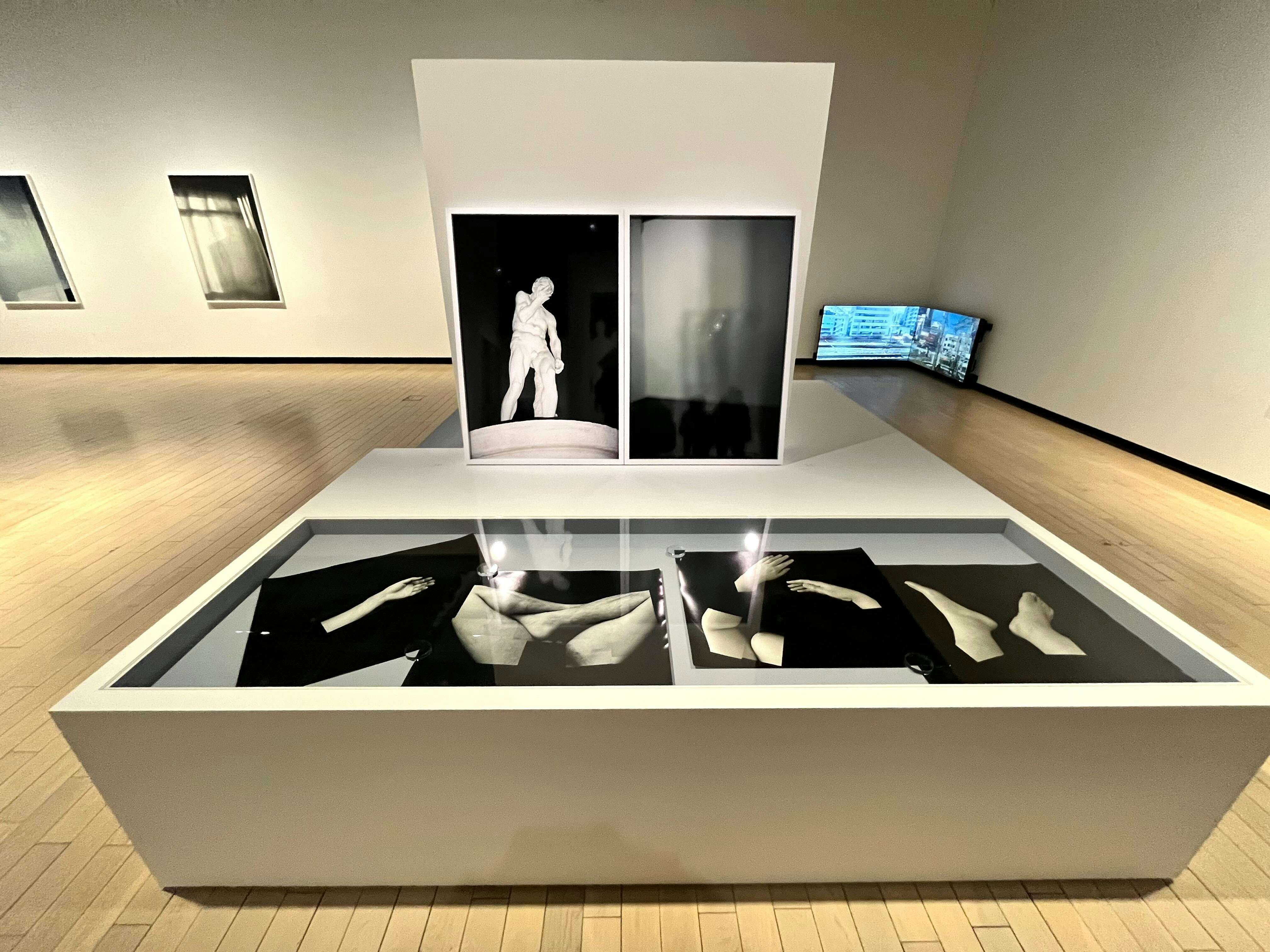 鷹野隆大 カスババ ―この日常を生きのびるために」（東京都写真美術館