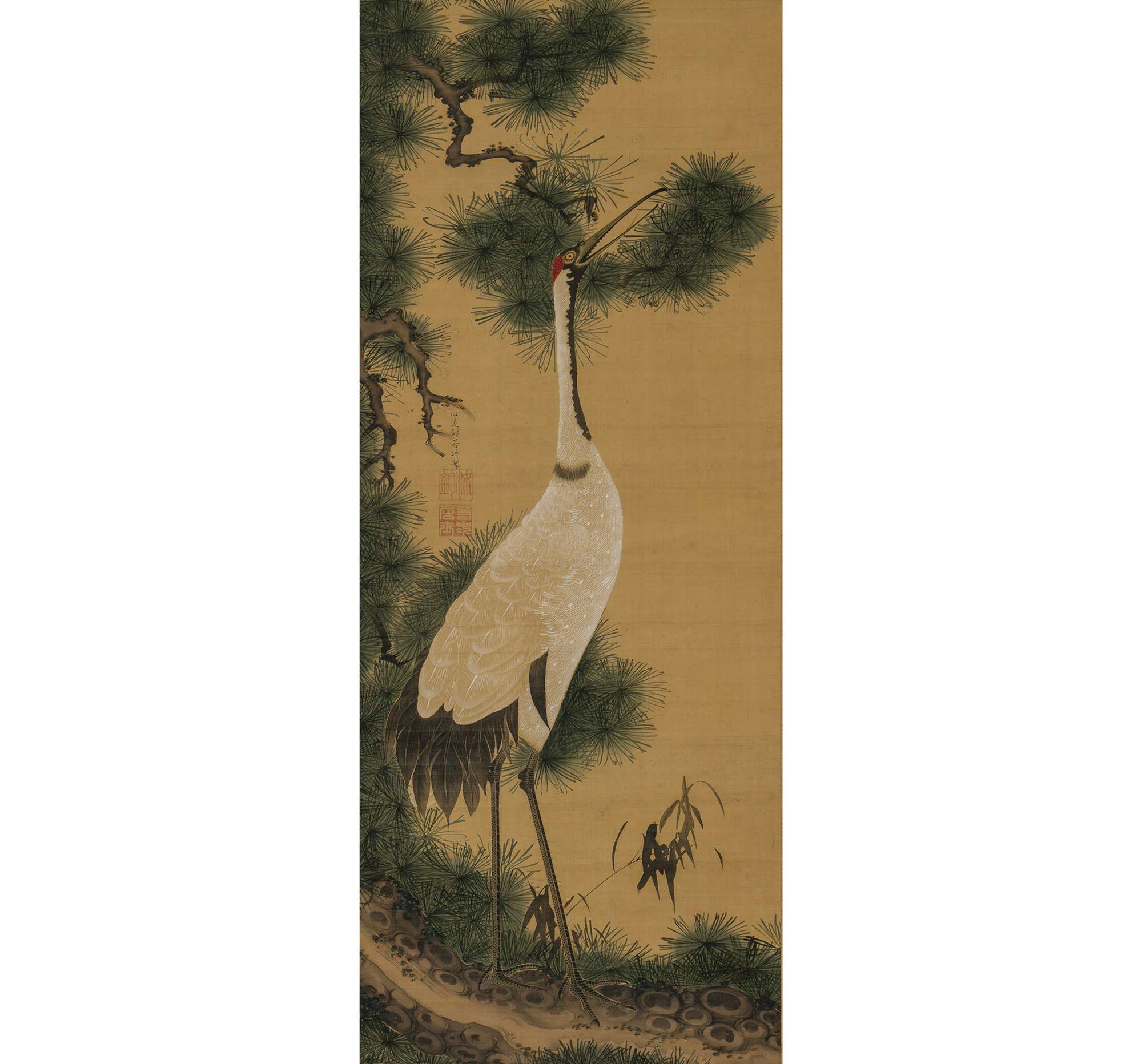 若冲の名作 重要文化財《菜蟲譜》と新発見の《果蔬図巻》が史上初の