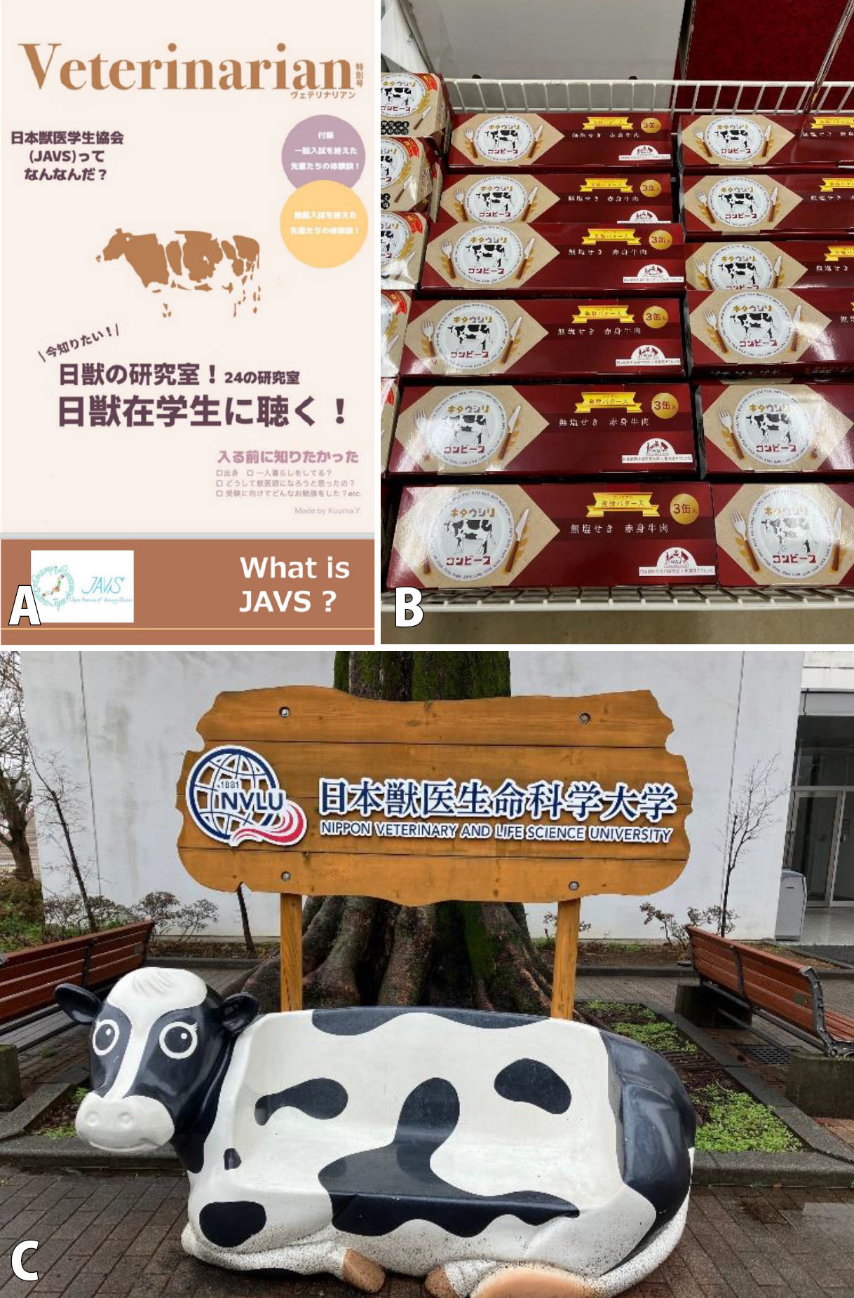 JVM NEWS 獣医学関連 学会・業界情報 - 文永堂出版