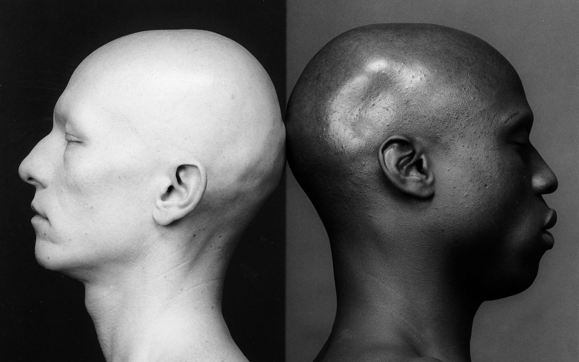 写真]性的倒錯を写真で表現し続けたロバート・メイプルソープの美意識