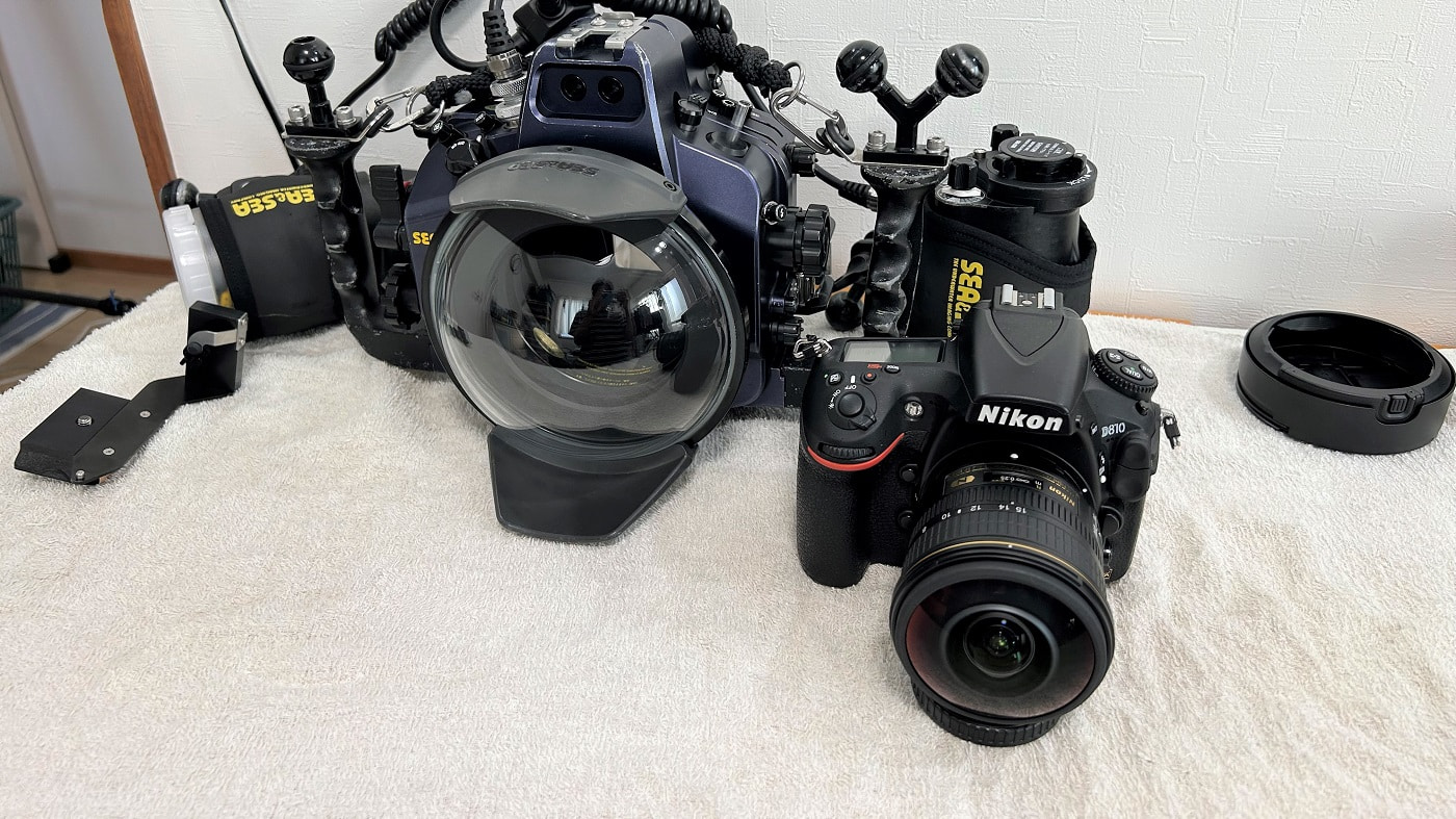 水中写真用のレンズをニコン純正8-15mmフィッシュアイに変えたので