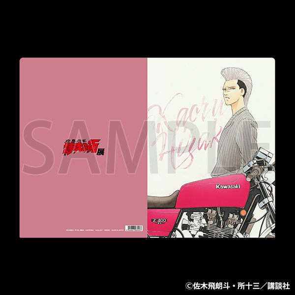 グッズ | 疾風伝説特攻の拓展