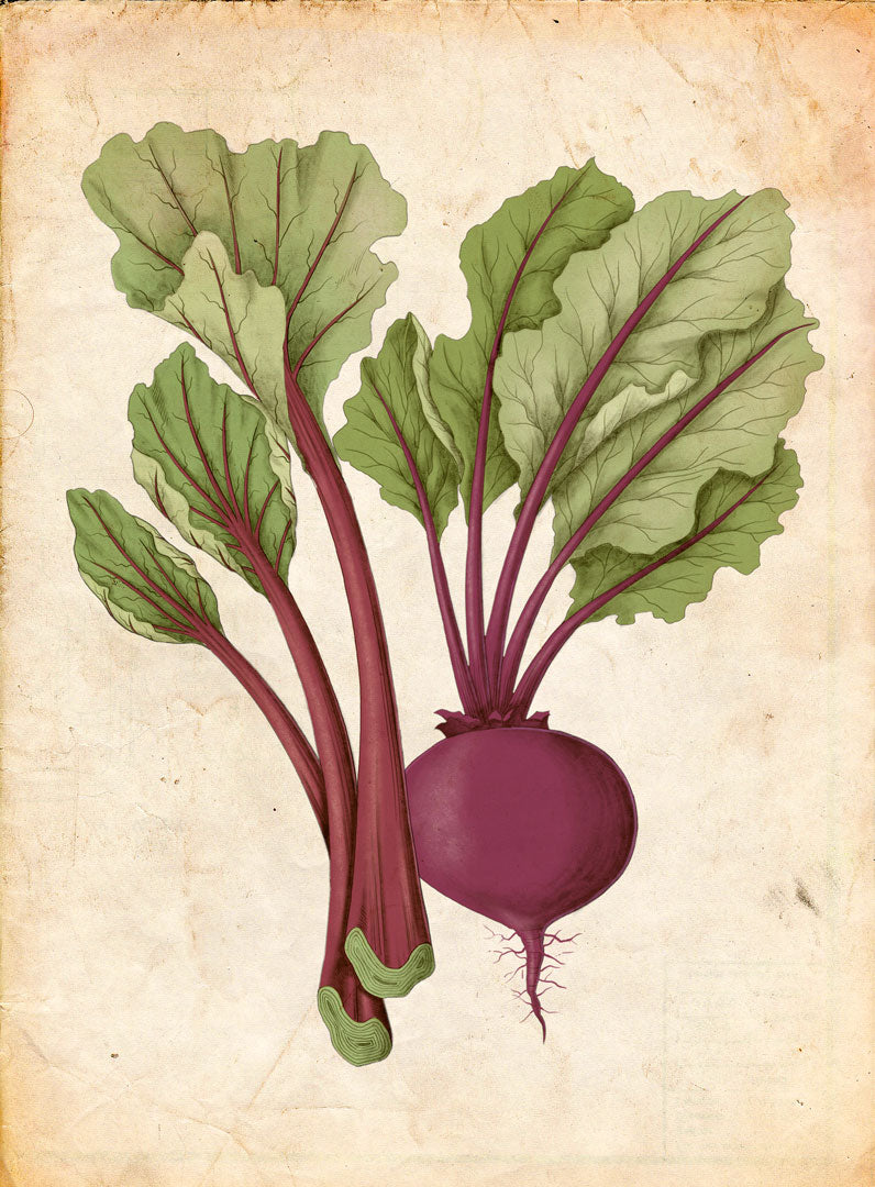 ベトラーヴ・ディラク・エ・リュバーブ・デジプト – Officine