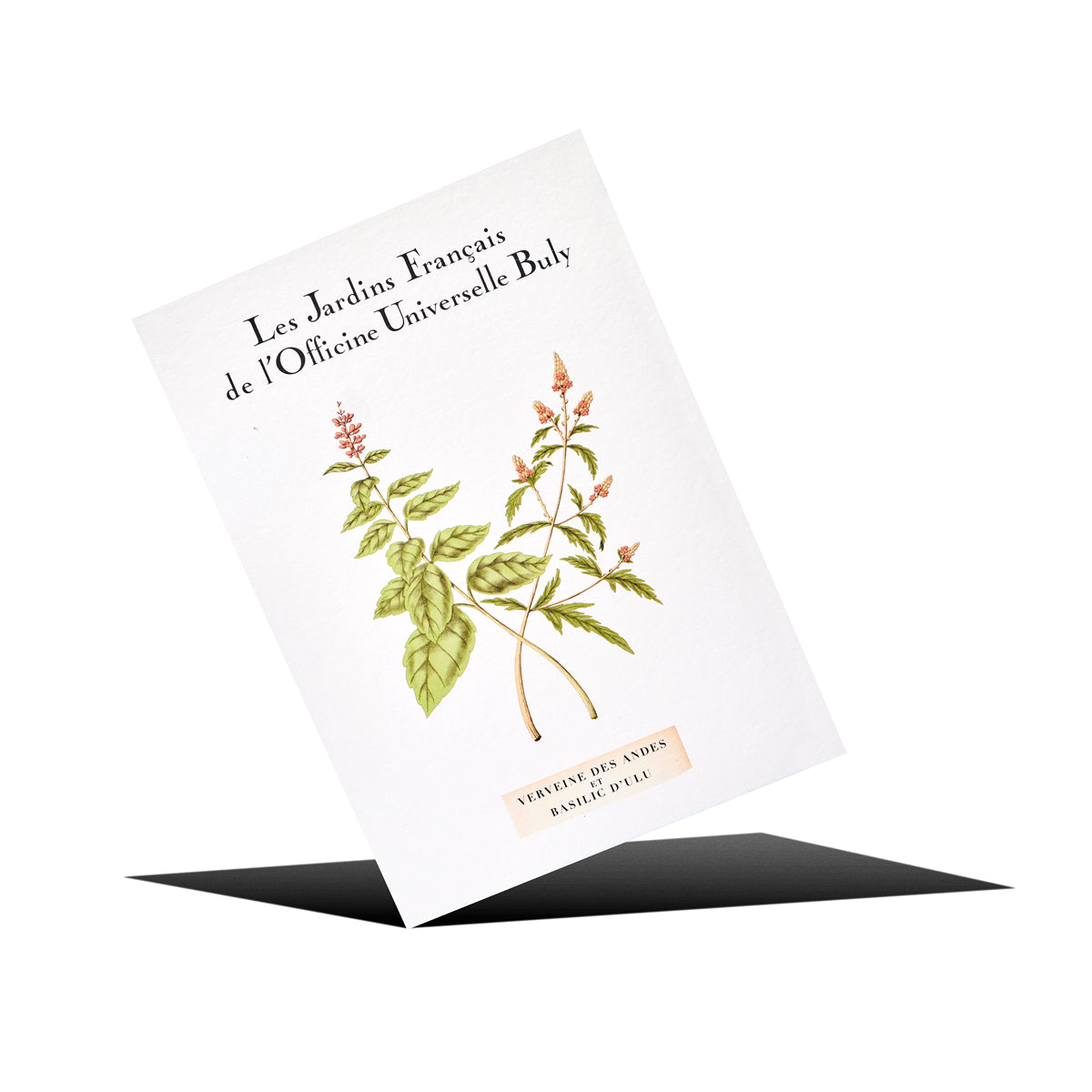 ヴェルヴェーヌ・デザンド・エ・バジリック・ドゥリュ – Officine