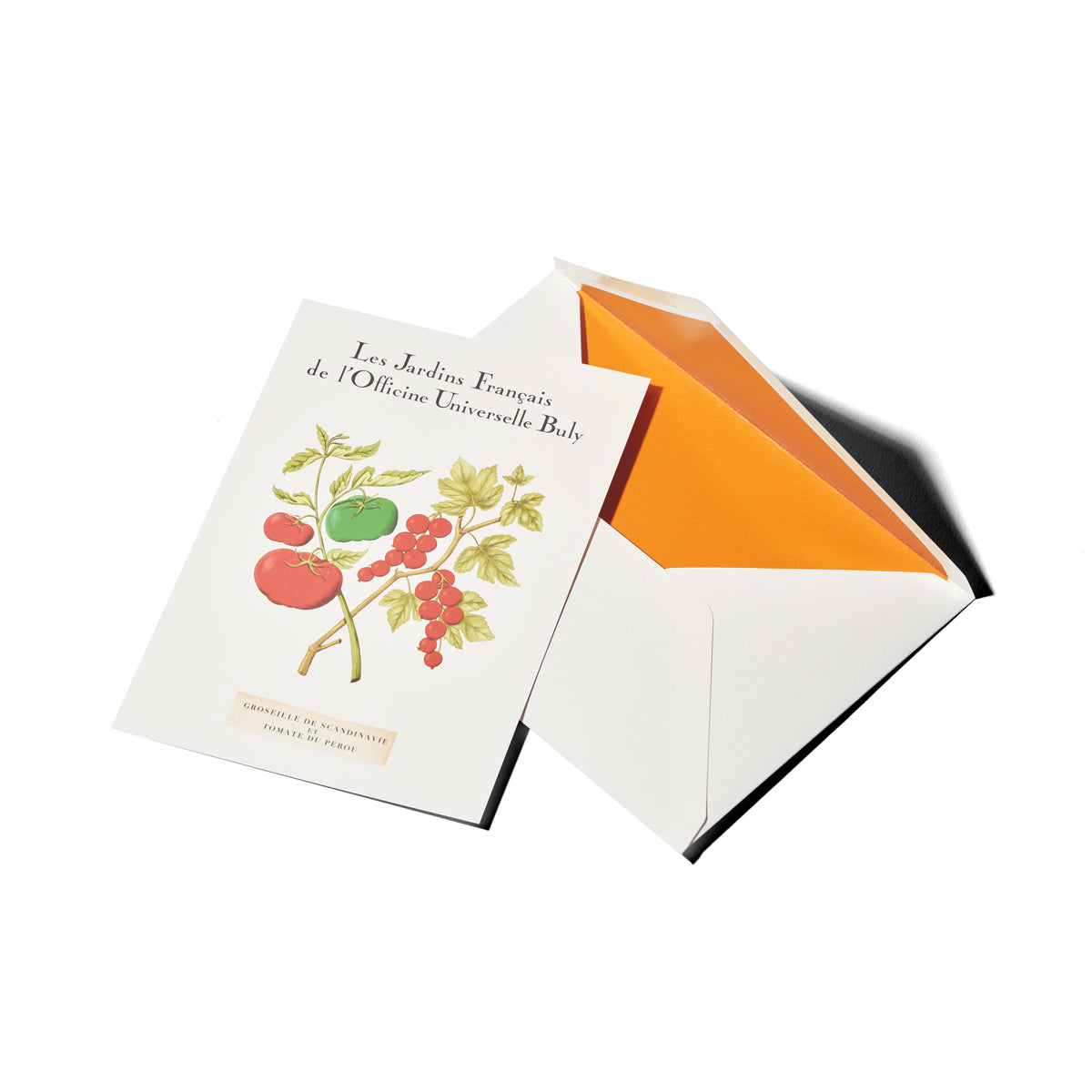 グロゼイユ・ドゥ・スカンジナーヴ・エ・トマト・デュ・ペルー