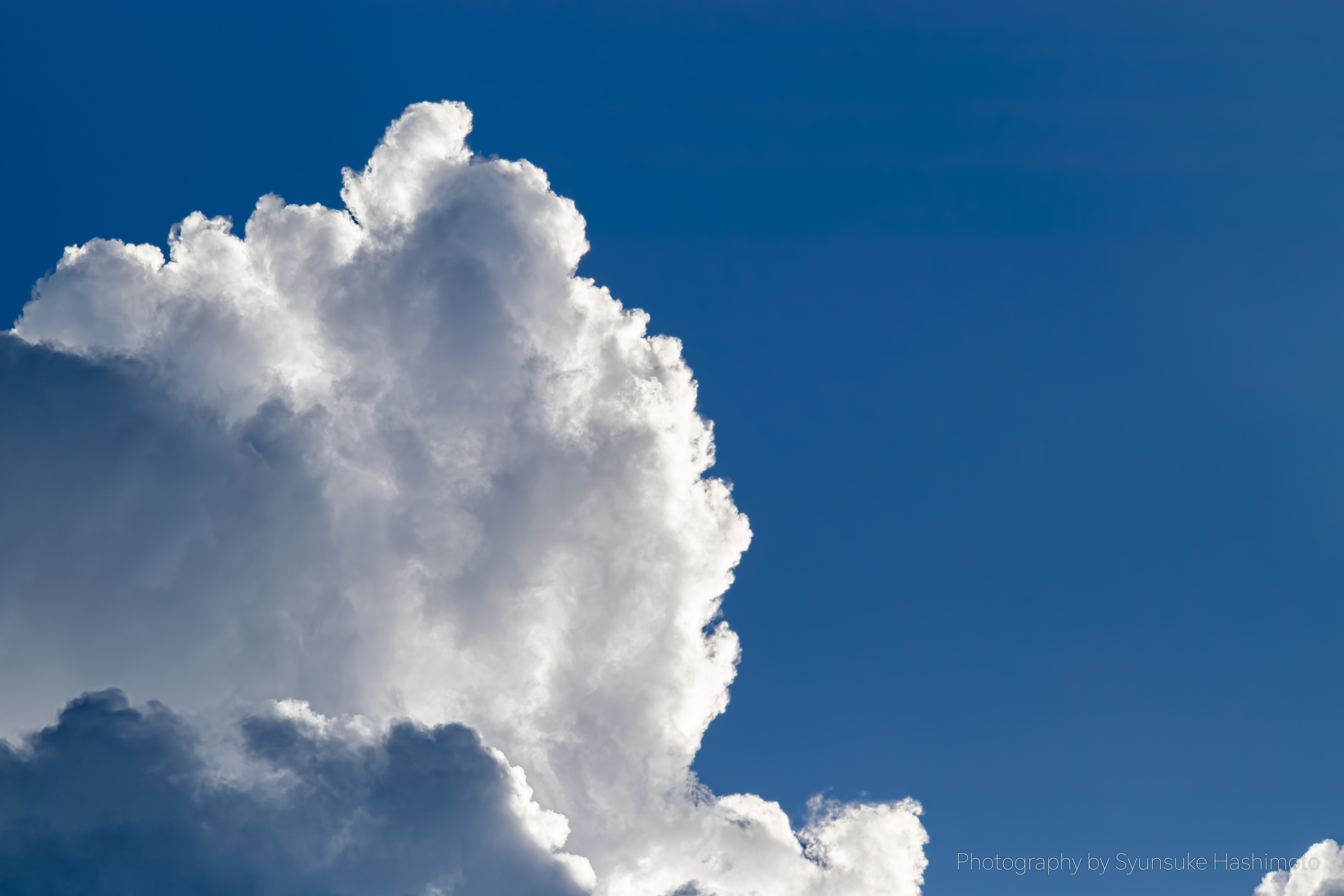 レンズ沼】Nikon AI Nikkor 135mm F2.8 (1977年)レビュー: とある写真