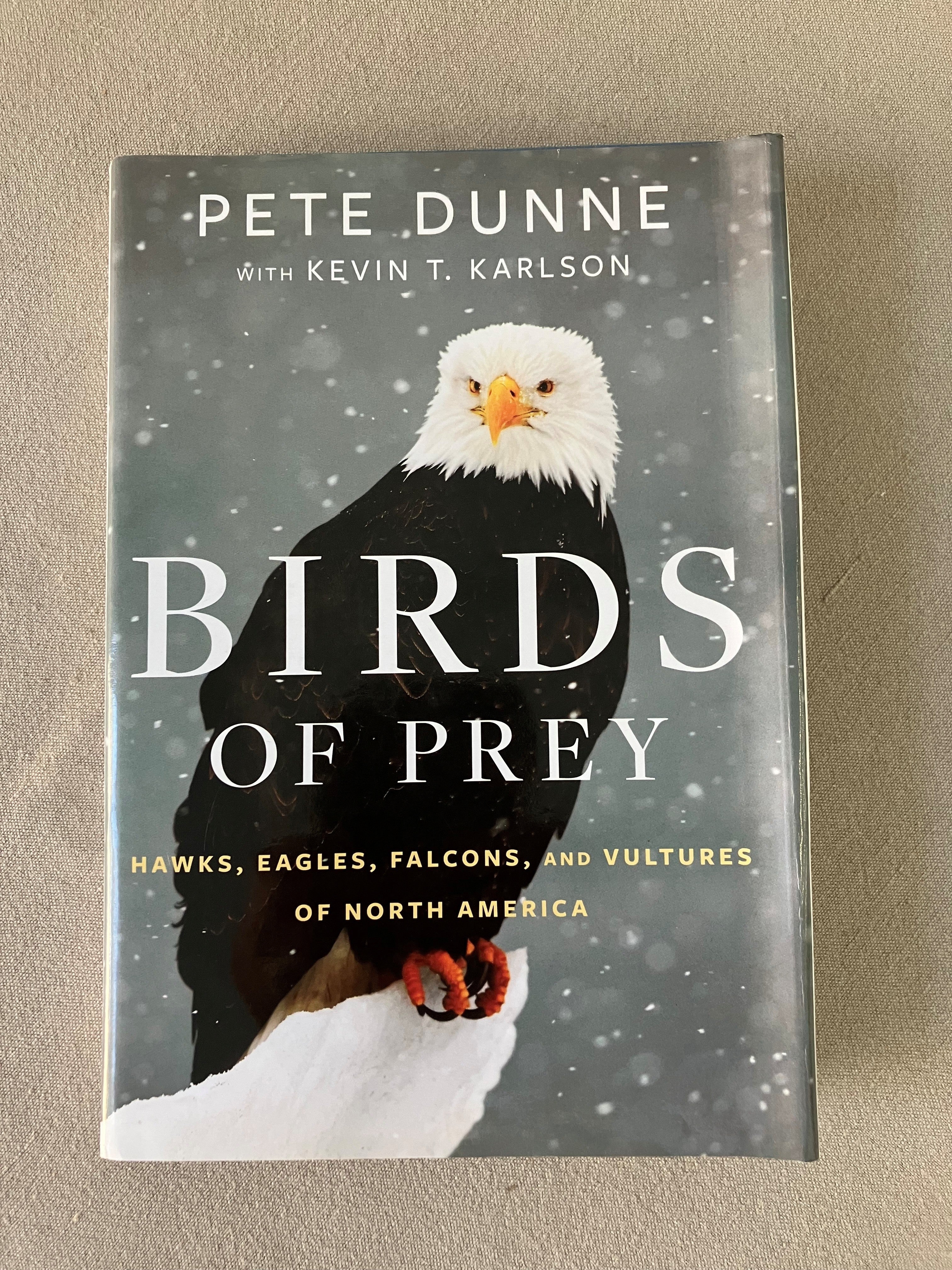 birdsofpreyhawks_eagles_falcon