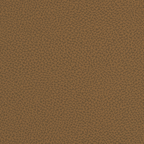 Palomino - Cactus | Burch