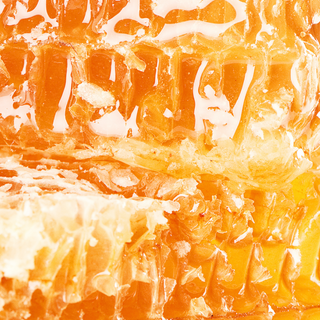 Day Face Cream With Manuka Honey, Collagen & Probiotics – By