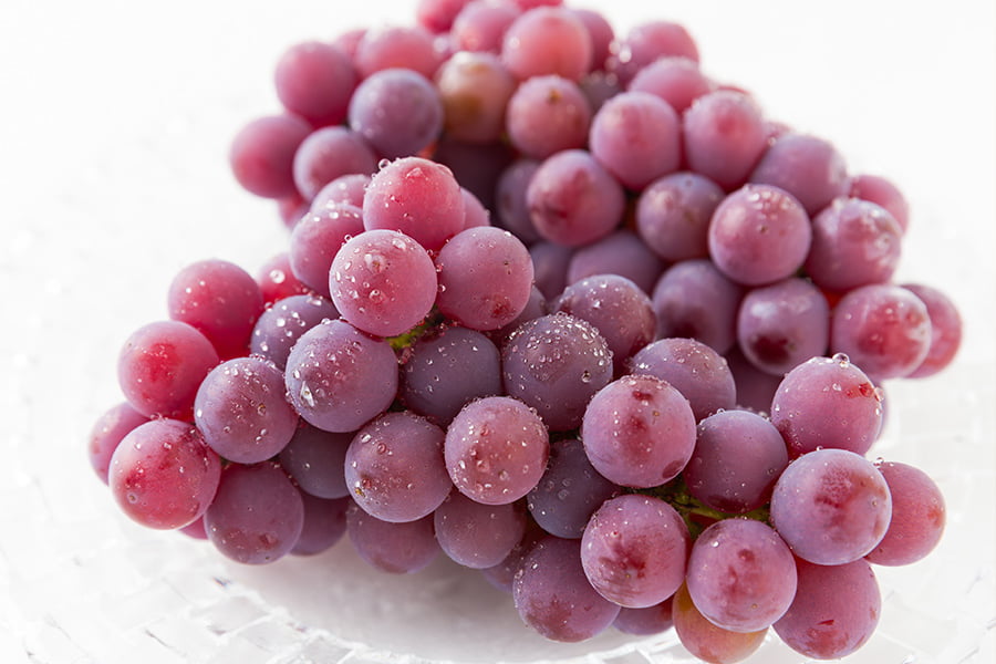 2025年完売】2026年7月頃～予約開始予定|山道農園のぶどう甘美レッド