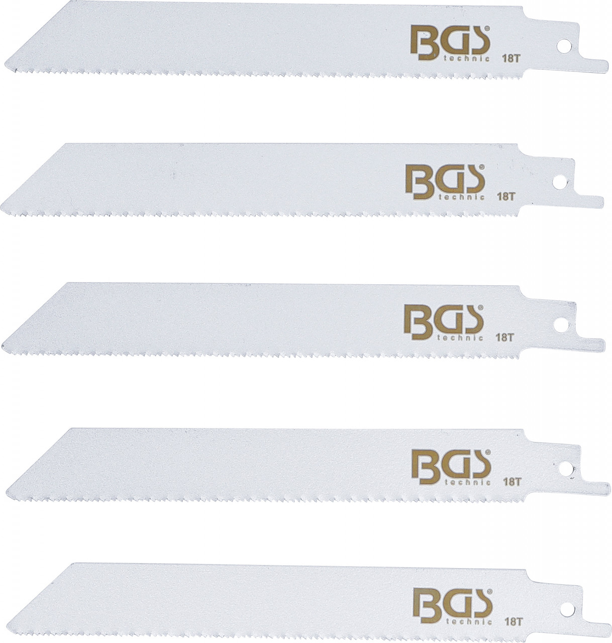 Set pânza fierastrau sabie pentru BGS 70993 5 piese, BGS 74382