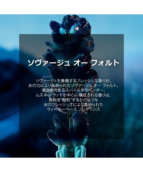 ソヴァージュ オー フォルト（60mL）（香水）｜DIOR（ディオール）の