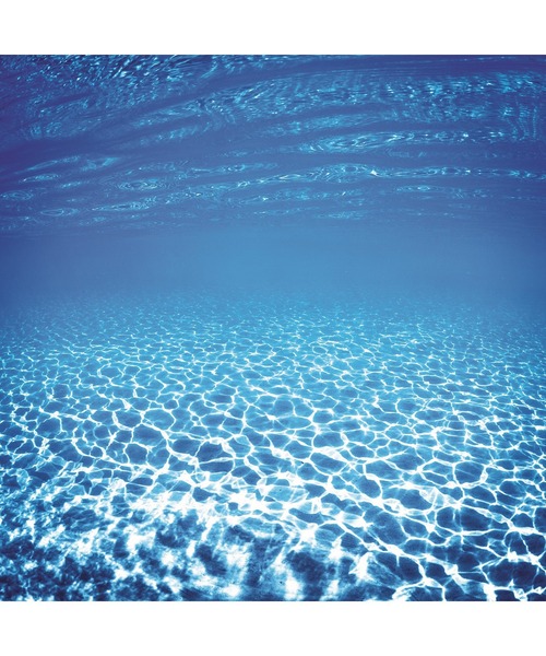 レプリカ オードトワレ セーリング デイ (100mL)（香水）｜Maison