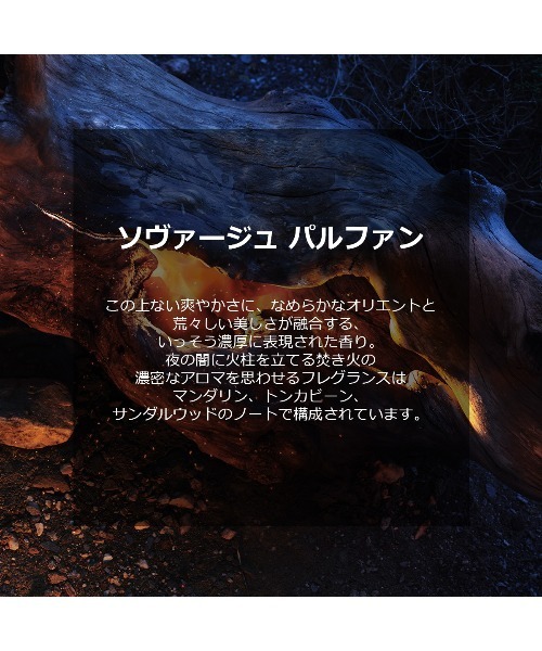 ソヴァージュ パルファン(100mL)（香水）｜DIOR（ディオール）の