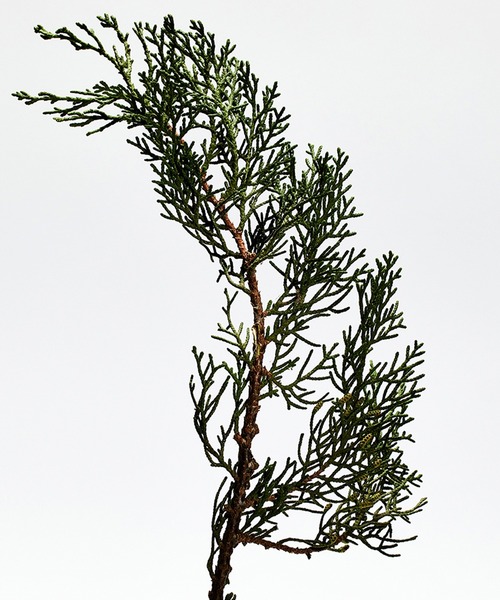 オードゥ パルファン “ロエベ 001 マン”（50mL）（香水）｜LOEWE