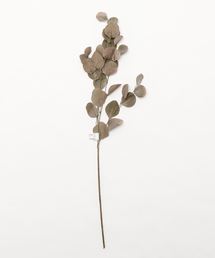 セール】ガラスジャー S（インテリア雑貨）｜Francfranc（フランフラン