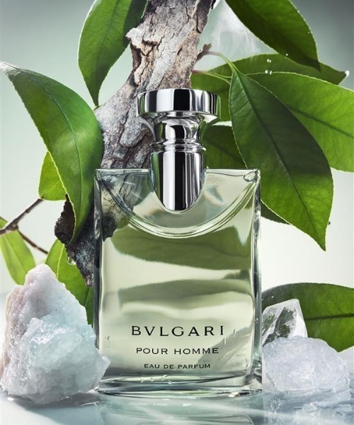 ブルガリ プールオム オードパルファム 50mL/BVLGARI POUR HOMME（香水