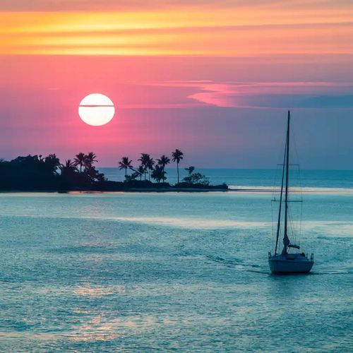 Summer Time - JioSaavn - Listen to New & Old Indian & English