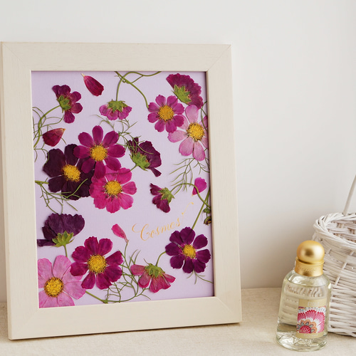 特別価格＊ 押し花とカリグラフィーのアートフレーム【コスモス】 本物