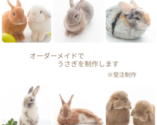 93c11d6d3ca70b131b1f1896ebc639