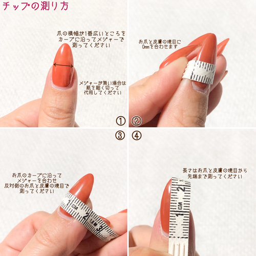サイズ確認用ネイルチップ ネイルチップ（つけ爪） nail salon ecla