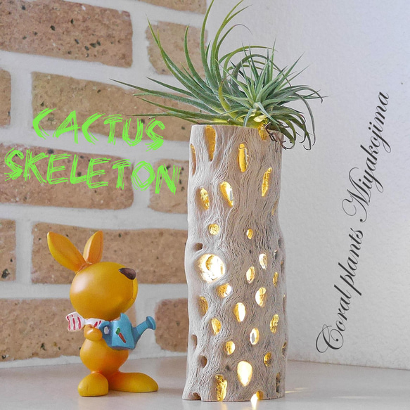 天然木 ライト No3 サボテンの骨&LED照明 カクタススケルトン ランプ