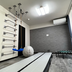 うんていさん うんてい ギフト キッズルーム 遊具 キッズ アイアン