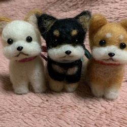 注文製作】羊毛フェルトハンドメイド柴犬ちゃん 羊毛フェルト moemo