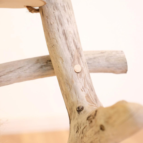 縦型流木バードアスレチックM おもちゃ・ペット小物 Driftwood and