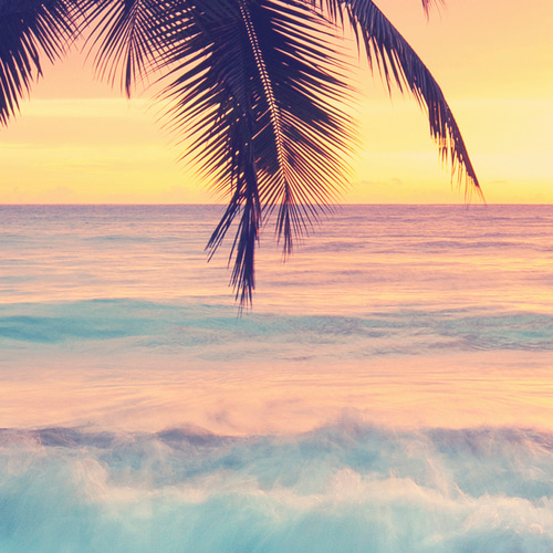 アートポスター シンプルモダン トロピカルビーチ パームツリー 夕日