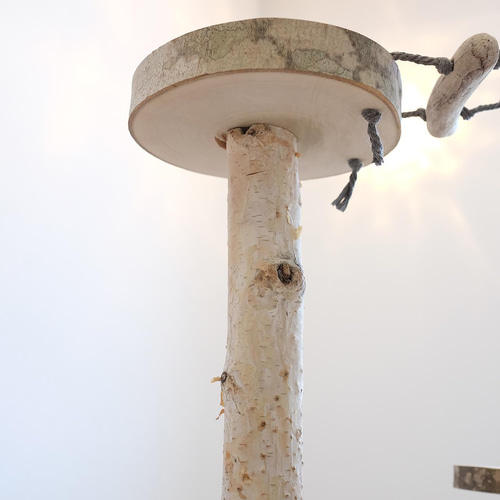 流木バードアスレチック M おもちゃ・ペット小物 Driftwood and birds