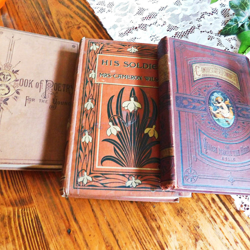 ゜..:。:.19世紀英国のヴィンテージ本3冊セット ブラウン ヴィンテージ